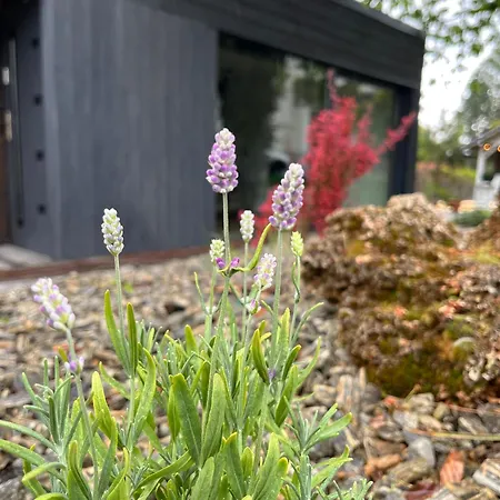 Prázdninový dům Touareg House
