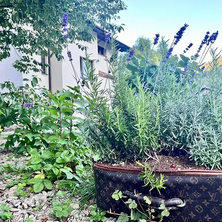 Touareg House Hébergement de vacances *