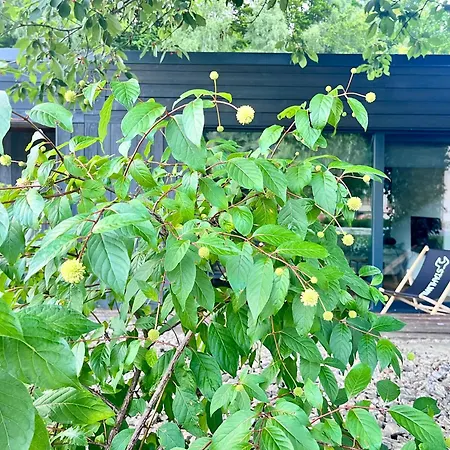 Touareg House Hébergement de vacances