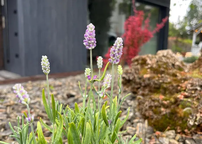 Prázdninový dům Touareg House