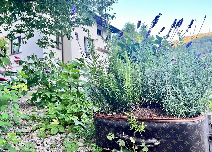 Touareg House Prázdninový dům *