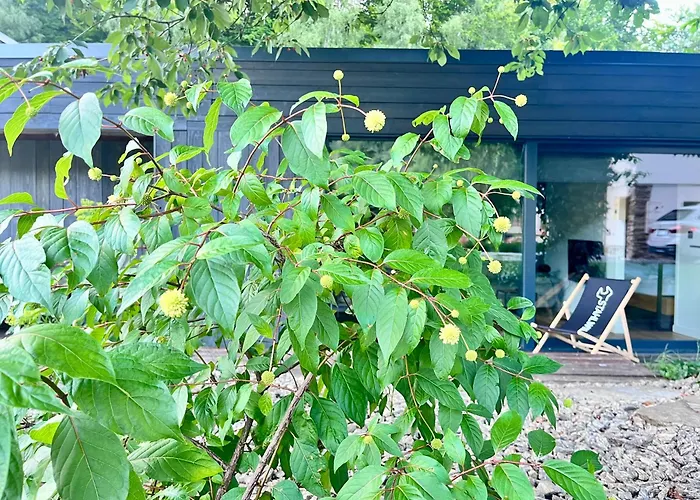 Touareg House Prázdninový dům